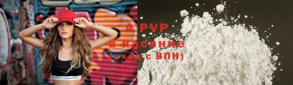 кокс Арсеньев