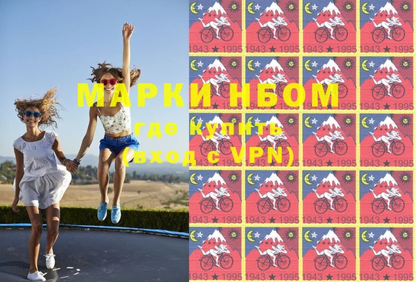 кокс Арсеньев